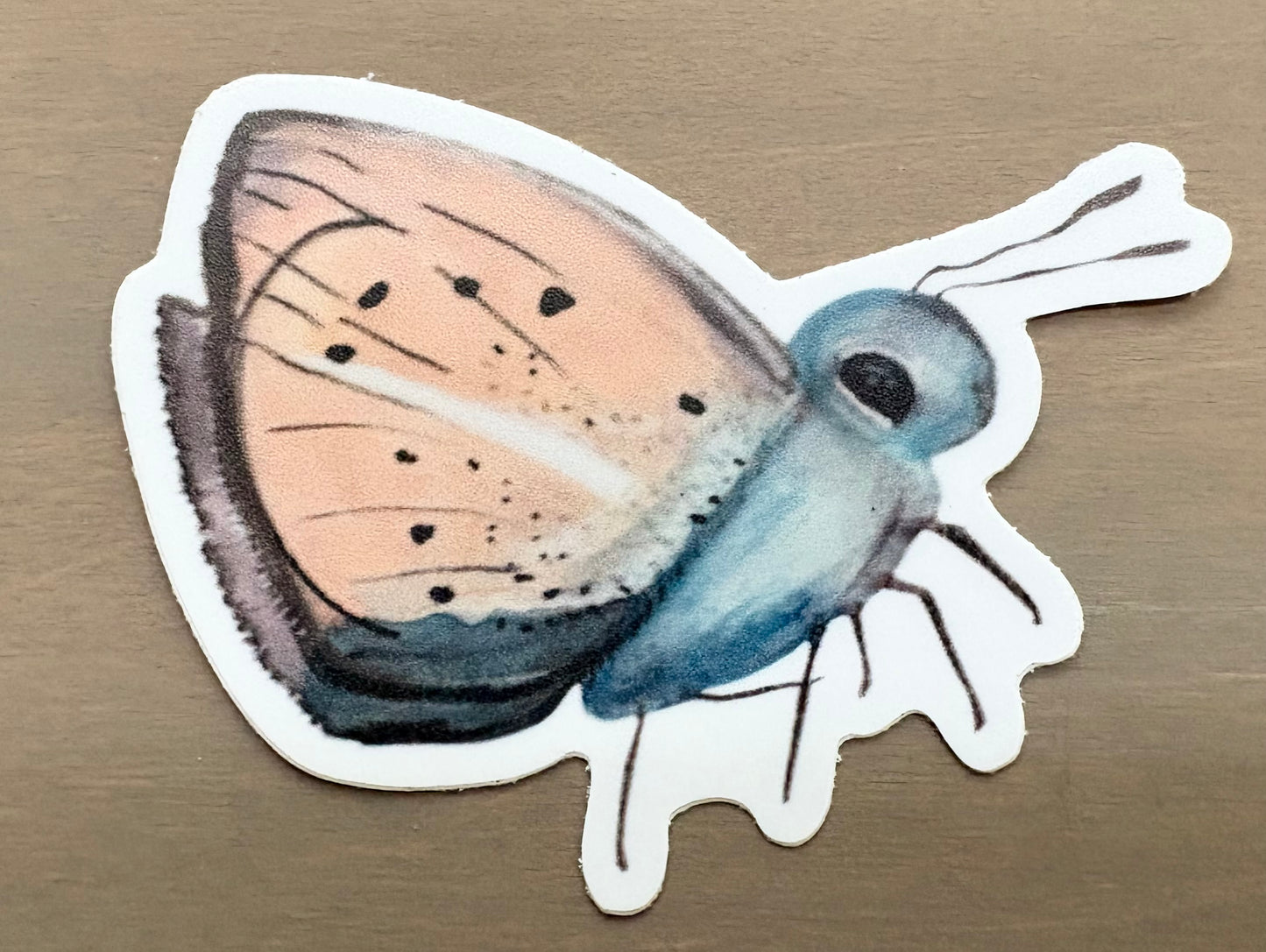 Sweet Baby Moth Waterproof Sticker