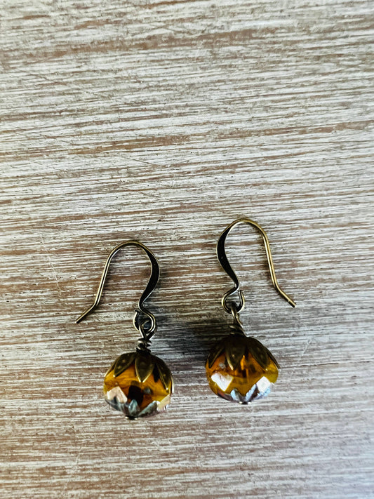 Earthen Beauty Drop Earrings in Warm Honey Color