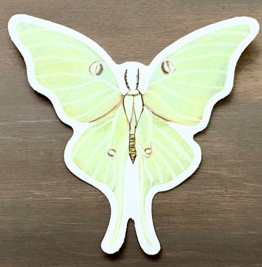 Majestic Luna Moth Waterproof Sticker